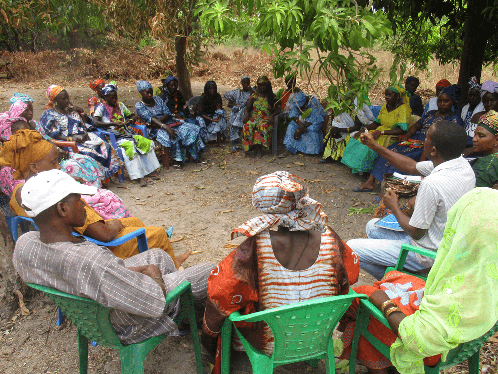 Ir a Mejora de la seguridad alimentaria y las desigualdades de género en la línea de frontera entre Guinea-Bissau y Senegal mediante la creación de una red de huertas comunitarias gestionadas y controladas por mujeres