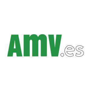 amv.es