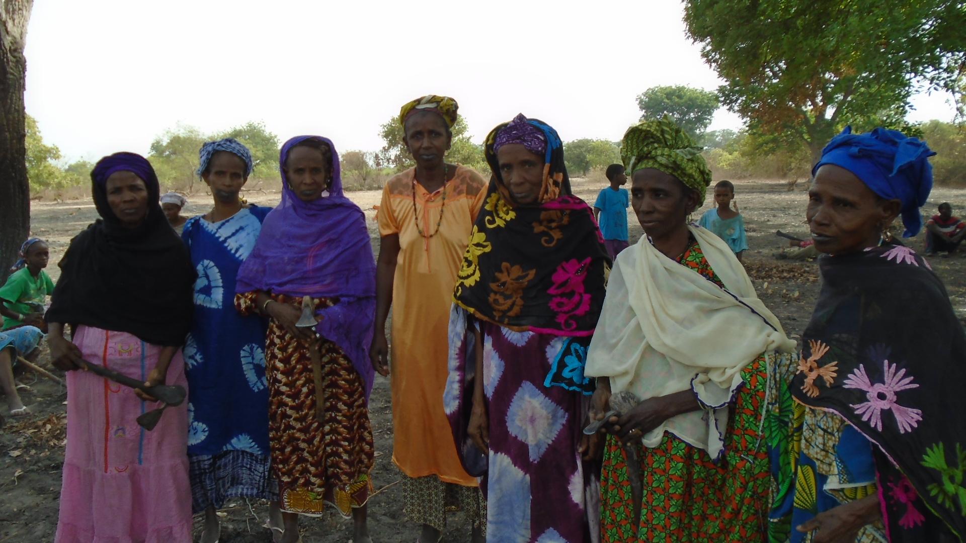 Ir a Potenciar el acceso de las mujeres rurales a los recursos económicos en Dioulacolon