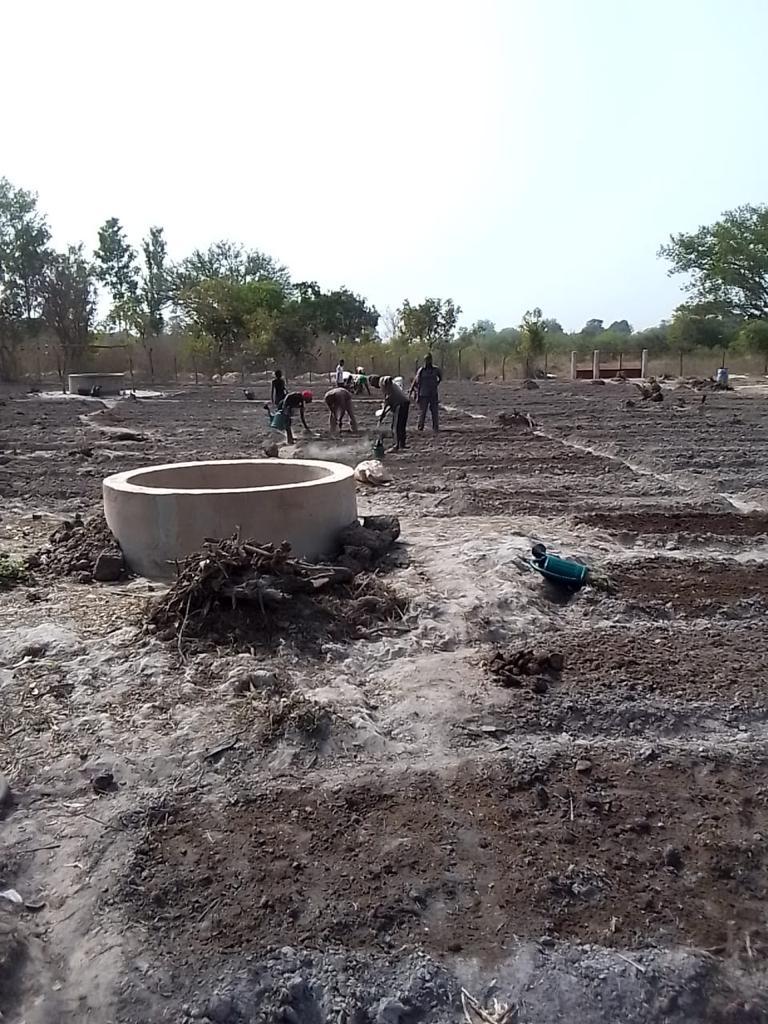 Ir a Mejorar la infraestructura de riego en huertas gestionadas por mujeres campesinas, en la región de Kolda
